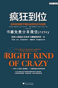 《疯狂到位:高风险情境下团队如何协作与创新》