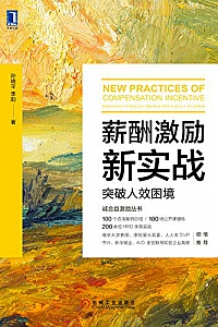 《薪酬激励新实战:突破人效困境》