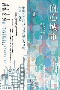 《向心城市:迈向未来的活力、宜居与和谐》