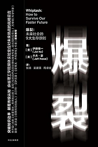 《爆裂:未来社会的9大生存原则》