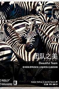 《团队之美》