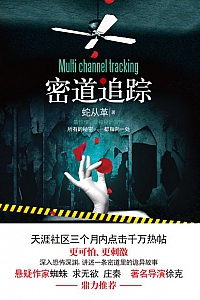 《密道追踪》