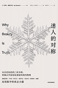 《迷人的对称》