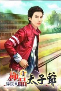 《极品太子爷》