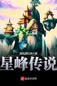 《星峰传说》