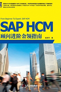 《SAP HCM顾问进阶金领指南》