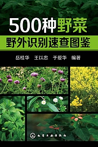 《500种野菜野外识别速查图鉴》