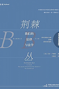 《荆棘丛:我们的法律与法学》