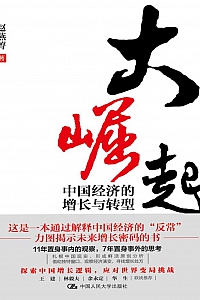 《大崛起:中国经济的增长与转型》