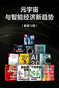 《元宇宙与智能经济新趋势》(套装共12册)