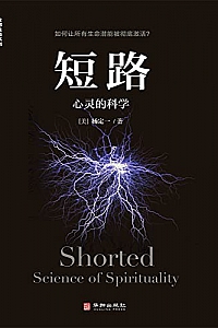 《短路:心灵的科学》杨定一