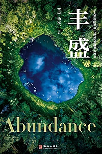 《丰盛》杨定一