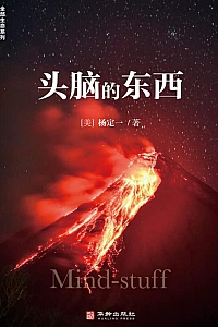 《头脑的东西》杨定一