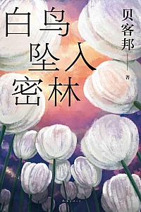 《白鸟坠入密林》贝客邦