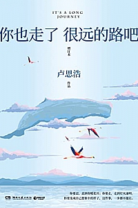 《你也走了很远的路吧》卢思浩