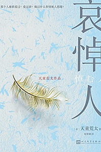 《哀悼人》天童荒太