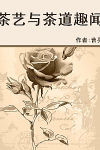 《茶艺与茶道趣闻》
