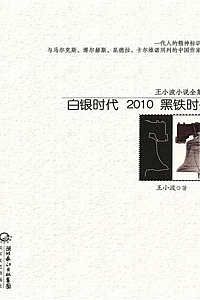 《白银时代/2010/黑铁时代》王小波