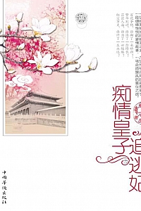 《痴情皇子追逃妃》阙上心头