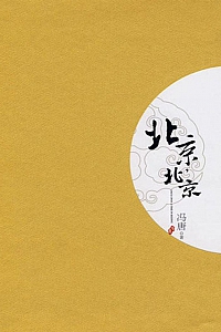 《北京,北京》冯唐
