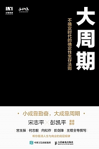 《大周期:不确定时代的确定性生存法则》正和岛