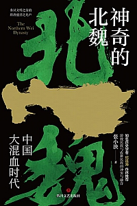 《神奇的北魏》张小泱