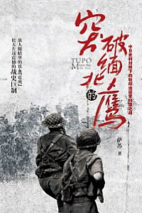 《突破缅北的鹰》萨苏