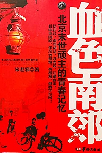 《血色南郊》宋老邪