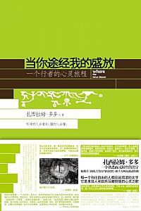 《当你途经我的盛放》扎西拉姆·多多