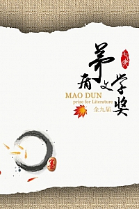 《茅盾文学奖·全1-9集》