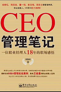 《CEO管理笔记:一位职业经理人18年的职场感悟》天外天