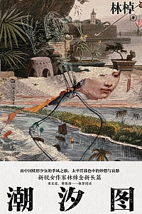 《潮汐图》林棹