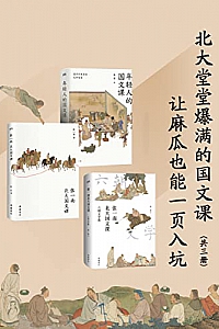 《北大堂堂爆满的国文课:让麻瓜也能一页入坑》( 全3册 )张一南