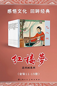 《红楼梦·套装11-19册》