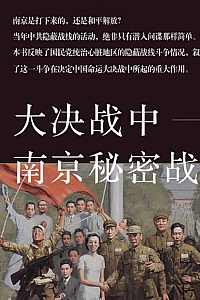 《大决战中南京秘密战线》唐宝林