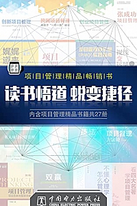 《项目管理精品书》(套装27册)