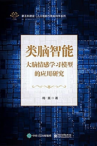 《类脑智能:大脑情感学习模型的应用研究》梅英