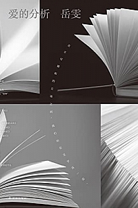《爱的分析》岳雯