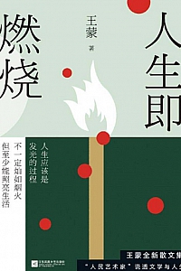 《人生即燃烧》王蒙