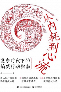 《从内耗到心流》杨鸣