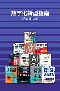 《数字化转型指南》套装共12册