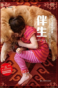 《伴生》阿伊莎·阿赫塔