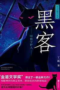 《黑客:暗夜守护人》丁一鹤