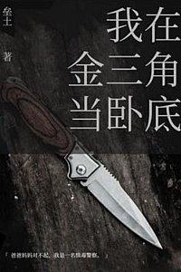 《我在金三角当卧底》垒土
