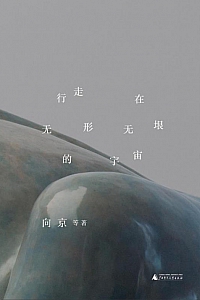 《行走在无形无垠的宇宙》向京