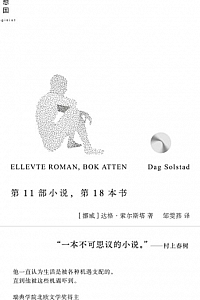 《第11部小说,第18本书》达格·索尔斯塔
