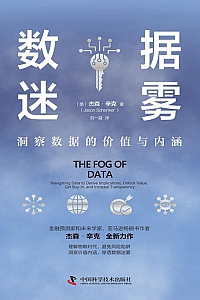 《数据迷雾》杰森·辛克