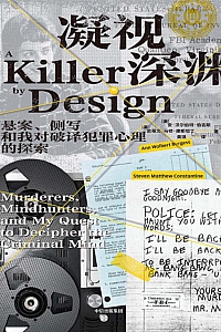 《凝视深渊》安·沃尔伯特·伯吉斯