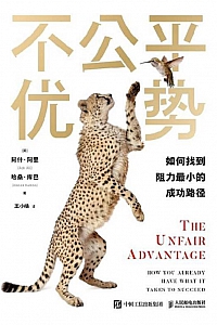 《不公平优势》阿什·阿里