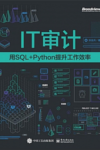 《IT审计:用SQL+Python提升工作效率》涂佳兵